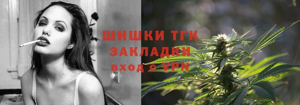 гидропоника Бородино