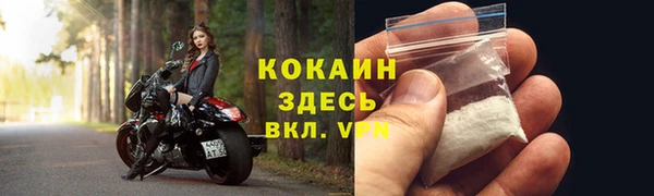 гидропоника Бородино