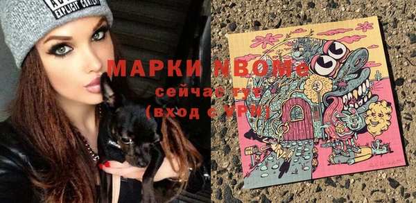 гидропоника Бородино